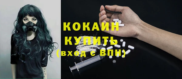 прущие грибы Аркадак