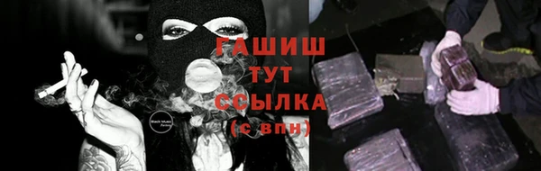 прущие грибы Аркадак