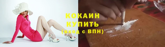 прущие грибы Аркадак