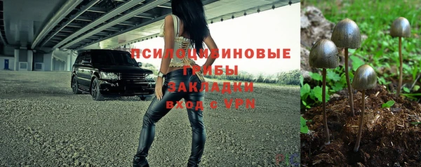бошки Армянск