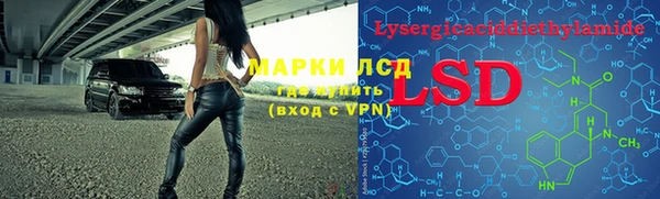 прущие грибы Аркадак