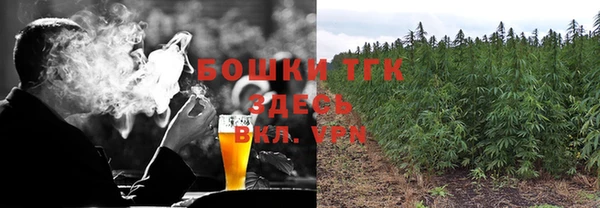 прущие грибы Аркадак