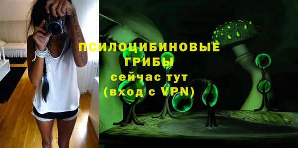 бошки Армянск