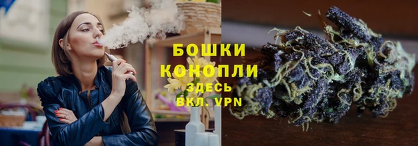 прущие грибы Аркадак