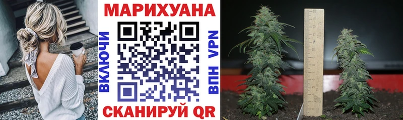 Канабис ГИДРОПОН  где можно купить наркотик  Сухой Лог 